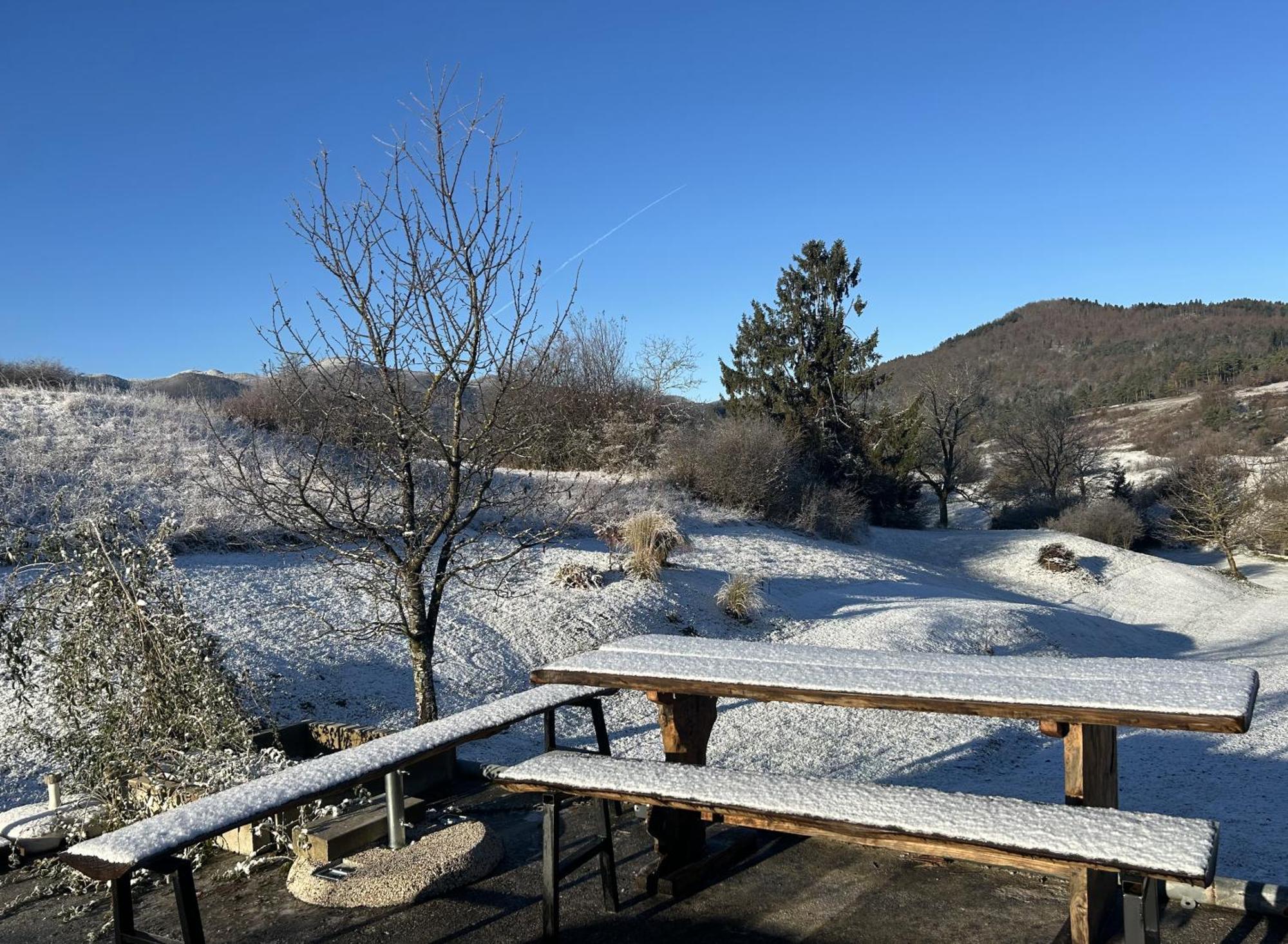 Spacious In Nature With Sauna! Apartment Postojna